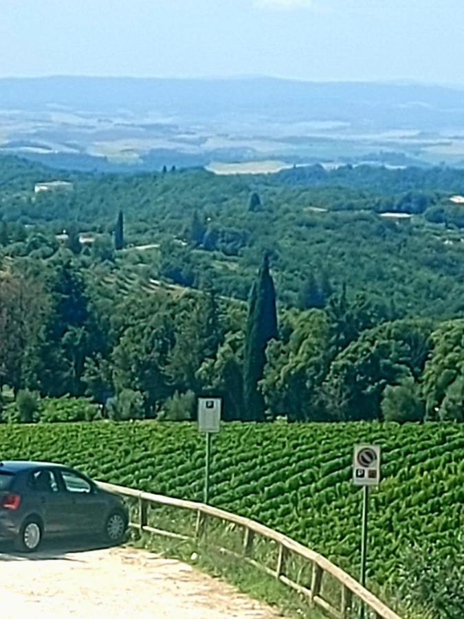 House With A View In Tuscany Villa San Gusme Exterior foto