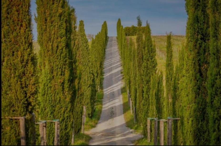 House With A View In Tuscany Villa San Gusme Exterior foto