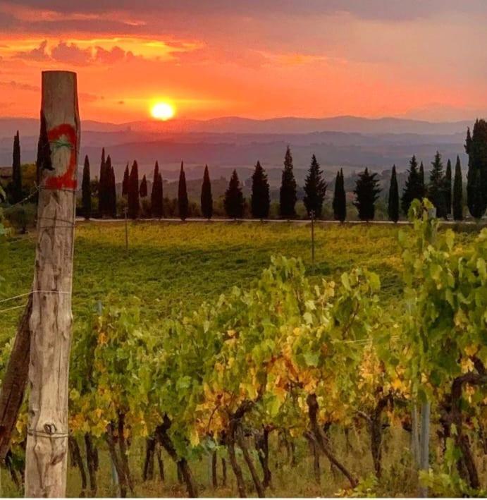 House With A View In Tuscany Villa San Gusme Exterior foto