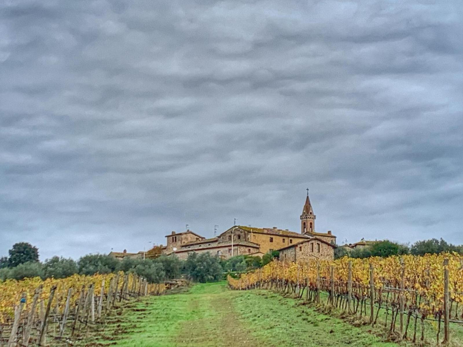 House With A View In Tuscany Villa San Gusme Exterior foto