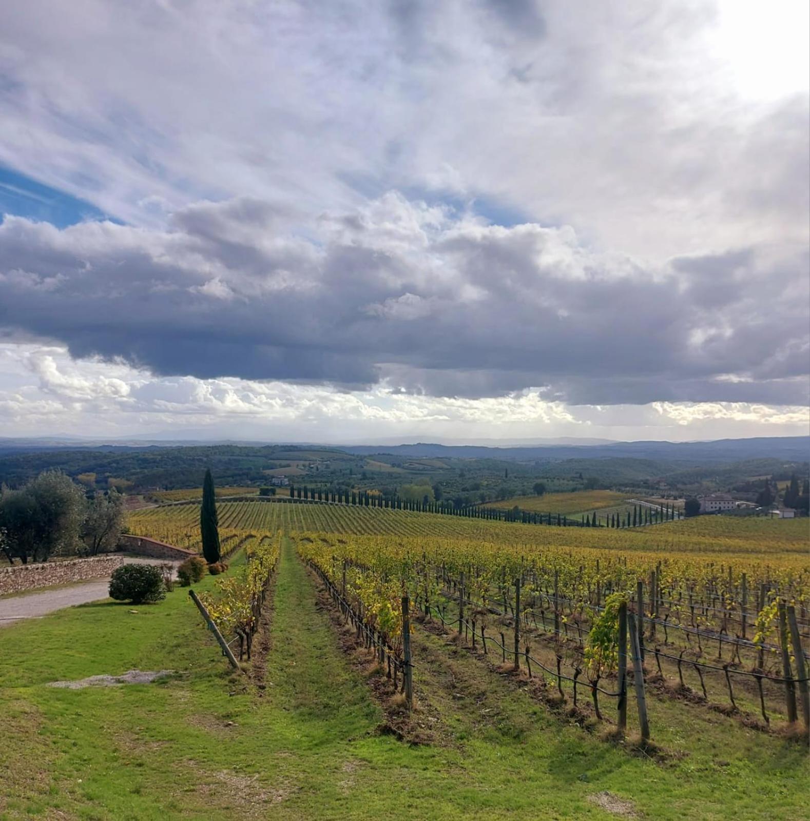 House With A View In Tuscany Villa San Gusme Exterior foto