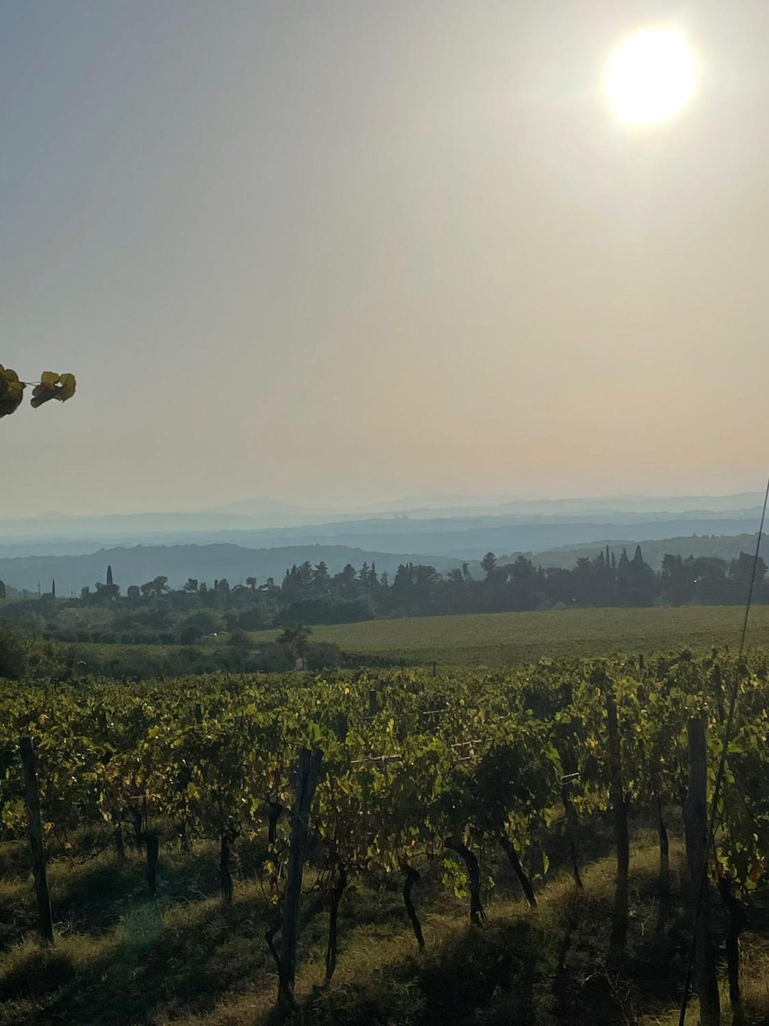 House With A View In Tuscany Villa San Gusme Exterior foto