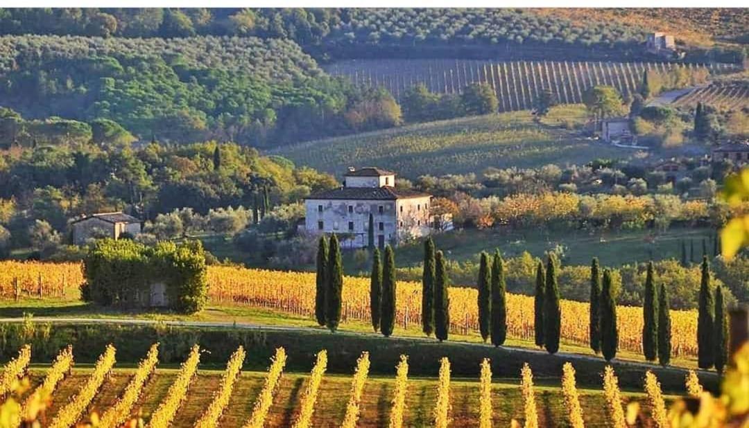 House With A View In Tuscany Villa San Gusme Exterior foto