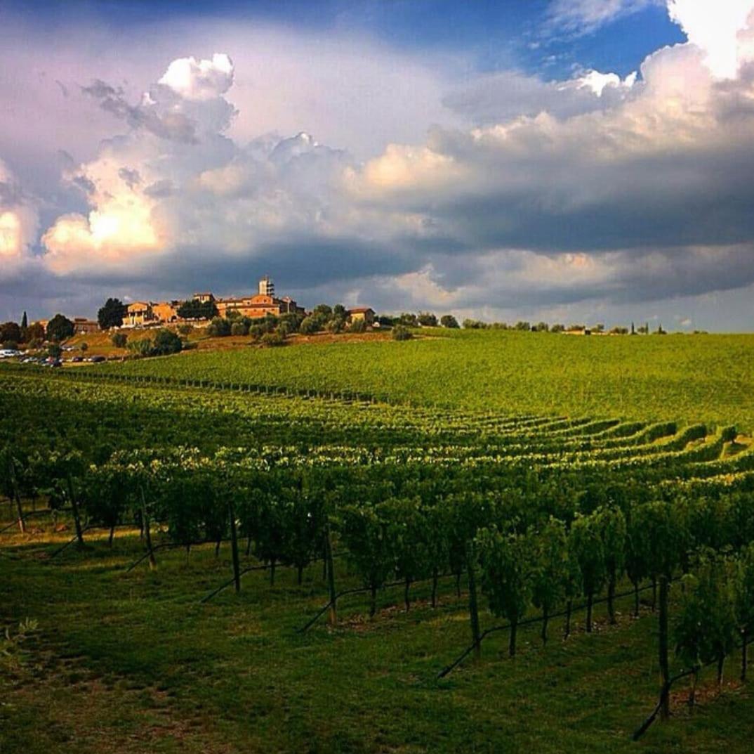 House With A View In Tuscany Villa San Gusme Exterior foto